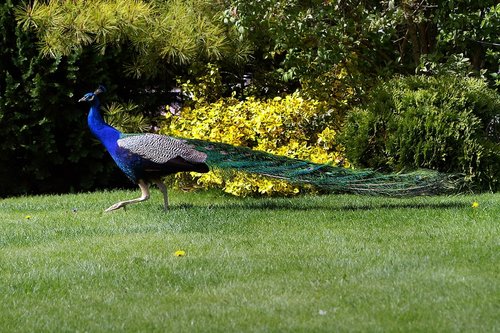 What a great visitor.