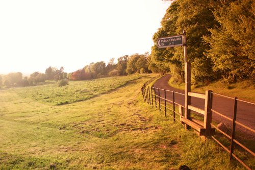 The fence and the fingerpost.