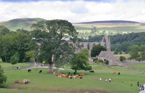 Bolton Abbey 2