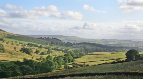 Bolton Abbey countryside