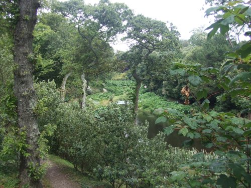 Trebah Garden