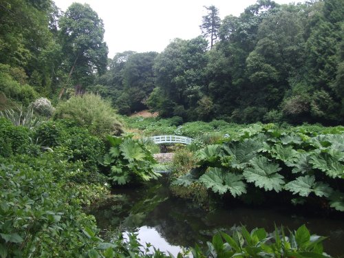 Trebah Garden