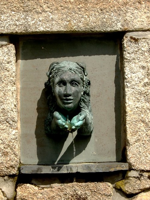 Tresco Abbey Gardens