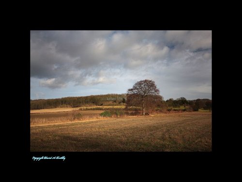 Autumn At Brantingham