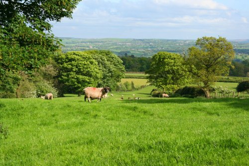 Written Stone Lane