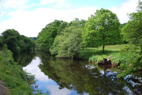 Taken from South Devon Railway between Staverton and Totnes