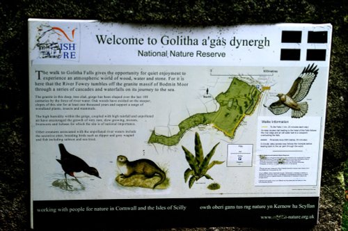 Golitha Falls.