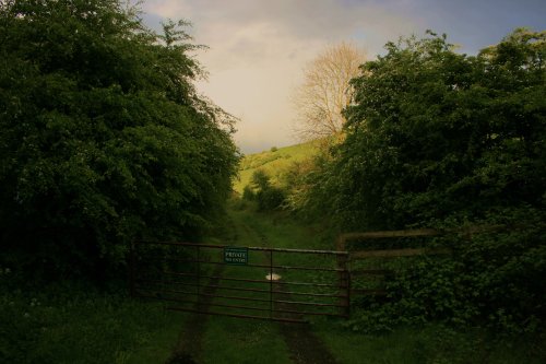 Drewton Estate, Weedley Springs near South Cave