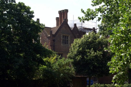 Chimney's through the trees.