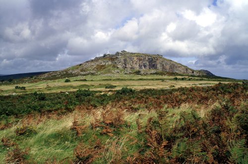 Stark against the sky.
