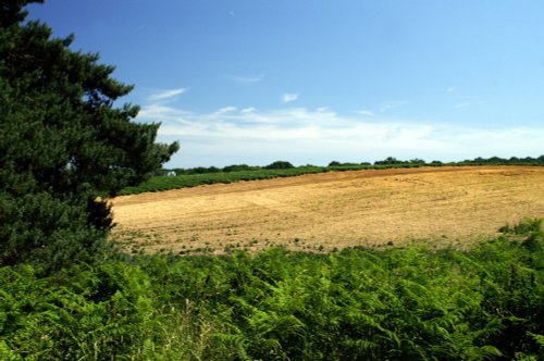 The farmland.