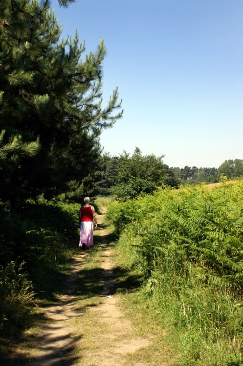 Nice place for a walk.