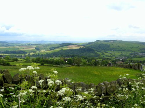 Looking out from Curber Edge