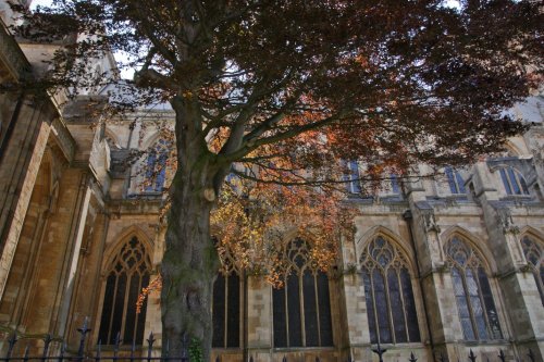 Beverley Minster
