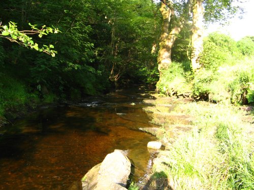 Down Stream View, Jerusalem Farm