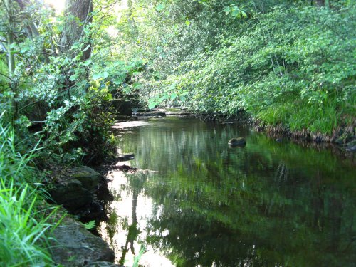 Reflections in the Stream