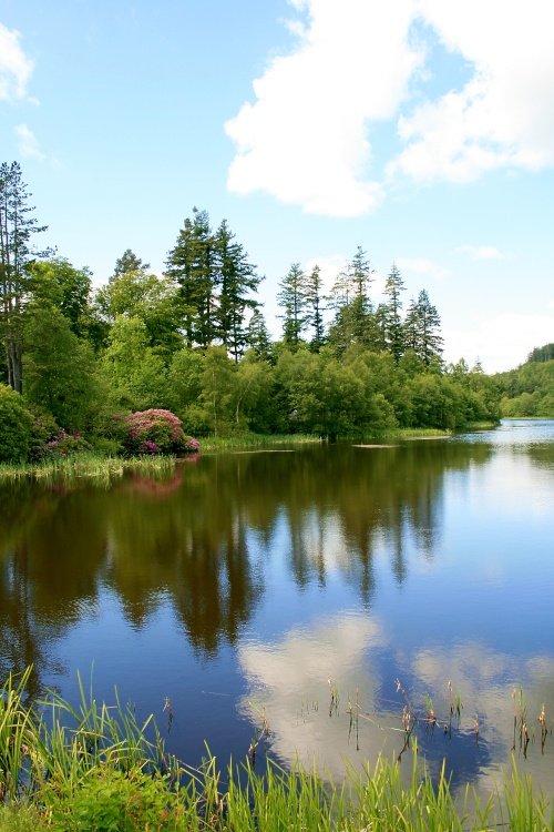 The Lake at Cragside