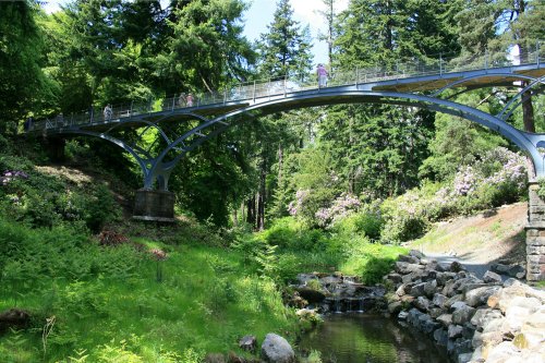 The Iron Bridge at Cragside.