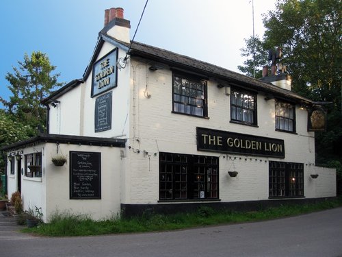 The Golden Lion