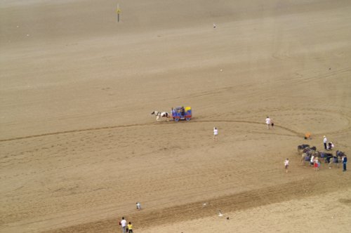 Horse drawn train for the kids.