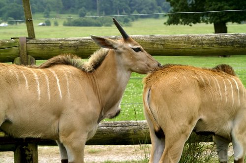 You smell nice dear.