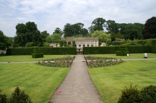 Looking out from the back of the house.