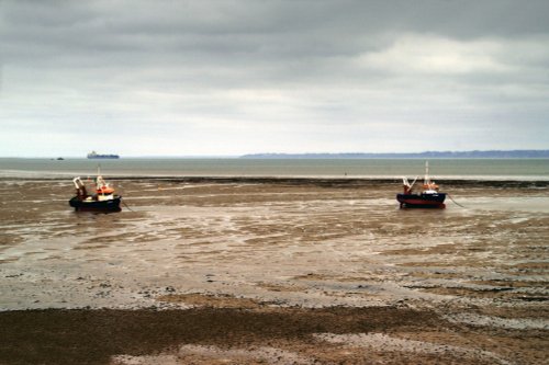 Boats sitting on the mud.