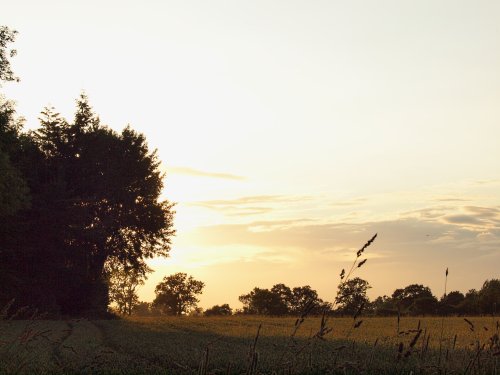 Evening sunshine, Twyford, Bucks