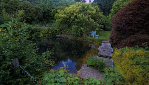 Water Garden
