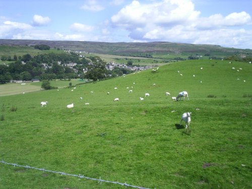 Where sheep shall graze