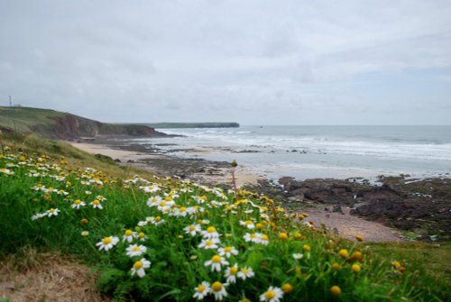 Freshwater West beach near Castlemartin