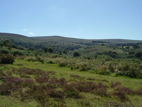 Exmoor, Somerset