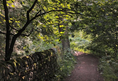 Fewston Reservoir 001