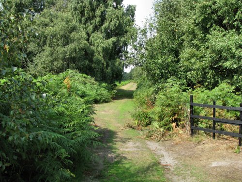 One of the walks in the Nature Reserve.