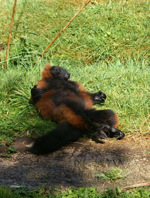 Just have a little rest here.