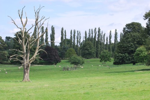 Farmland at Brooksby