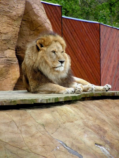 That little kid would make a good snack.