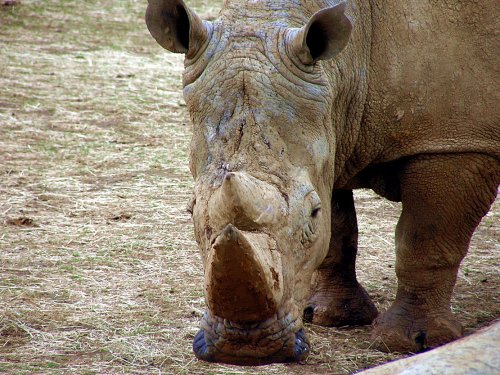 I got my eye's on you.