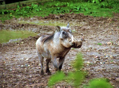 Who's a pretty boy then?