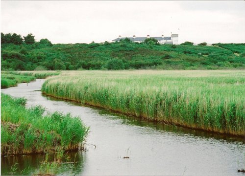 Minsmere Nature Reserve