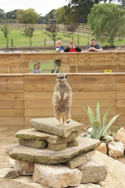 A picture of the Yorkshire Wildlife Park, Doncaster