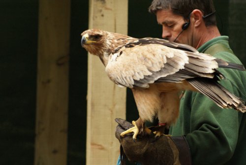 A picture of the Yorkshire Wildlife Park, Doncaster