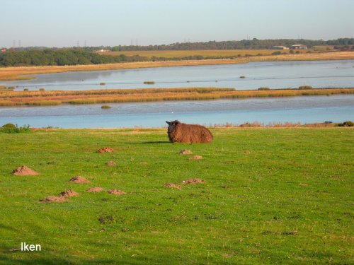 A view of Iken and the River Alde