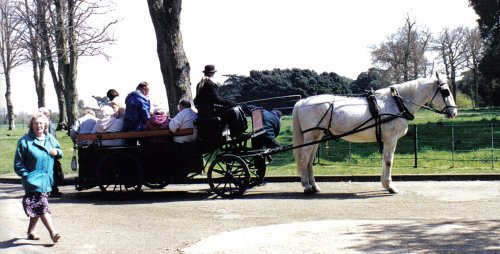 Save your legs, go on the cart.