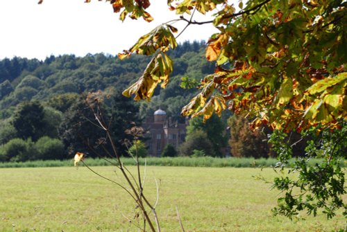 View through trees to Ribbesford House