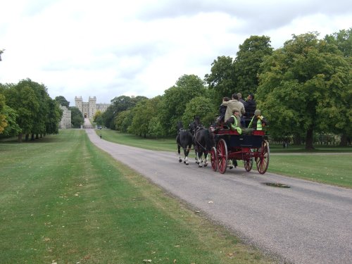 Windsor Great Park