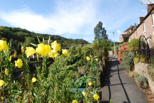Lane at Ironbridge