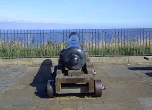 Cannon