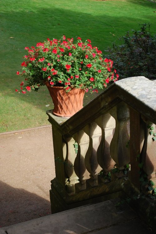 Bottom of the steps at Powis Castle