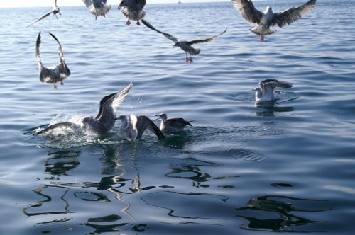 You cant get away from them.